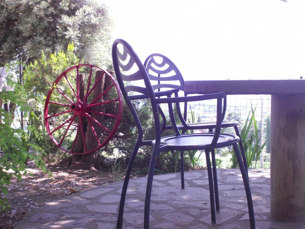 Agriturismo Il Pozzo Campagnatico 客房 照片